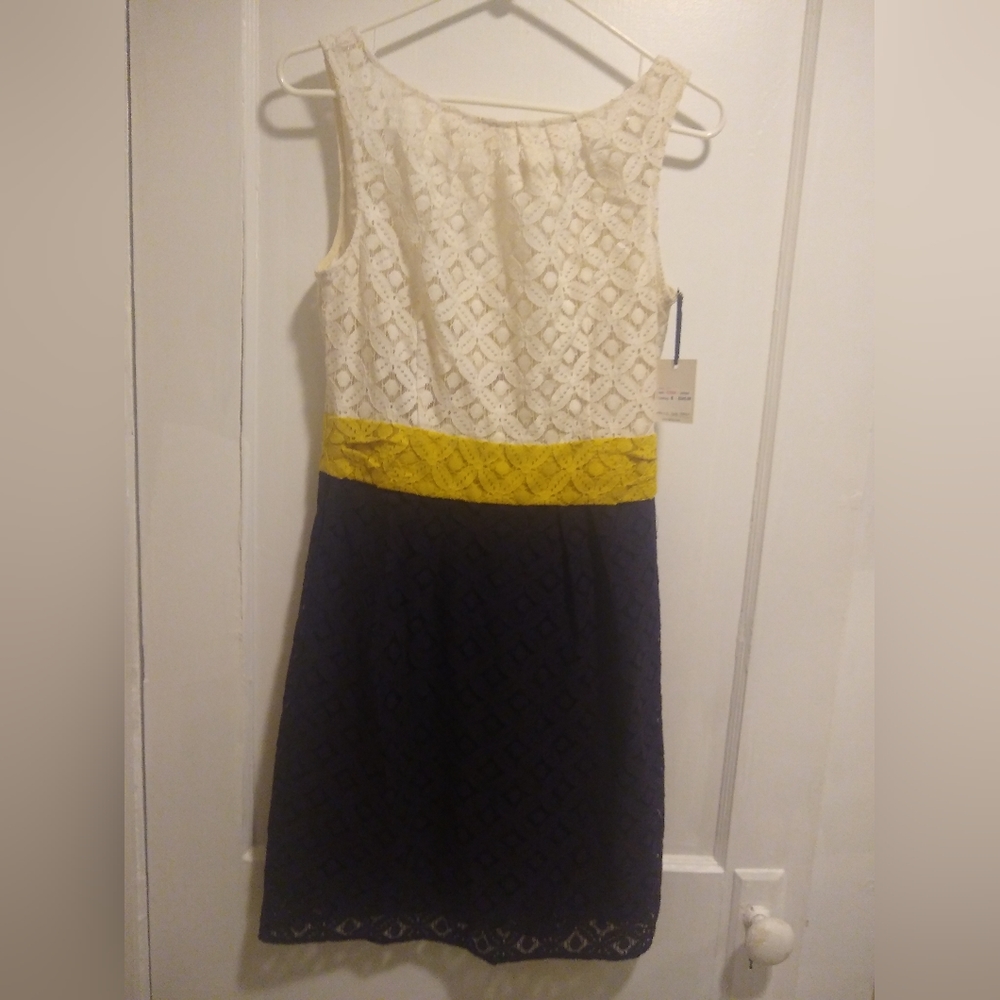 Milly of New York lace dress, ladies size 6, NWT